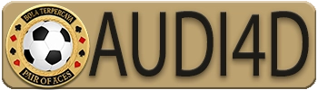 AUDI4D